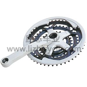 BICYCLE CWC SERIES LZ-17-09
